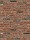 Cheyenne HV WF / RC209 Rijswaard