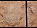 Песчаник красный 100х100, 100х200, 200x200 с заколом, толщина 30 мм