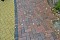 Тротуарная клинкерная брусчатка Penter Braunbunt geflammt, 200*100*52 мм