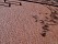 Клинкерная тротуарная брусчатка Penter Paviona, 200*65*85 мм