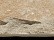 Песчаник серо-зеленый 100х100, 100х200, 200x200 с заколом, толщина 50 мм