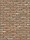Kentucky VB WF / RC204 Rijswaard
